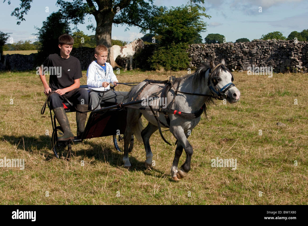 Due giovani ragazzi con orgoglio la loro guida pony Shetland e carrello intorno al campo a Priddy ovini fiera. DAVID MANSELL Foto Stock