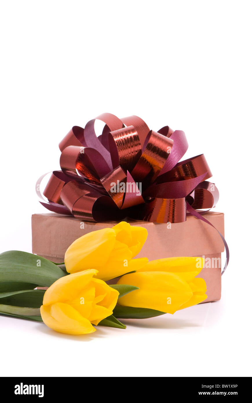 Tulipani gialli e confezione regalo su sfondo bianco Foto Stock
