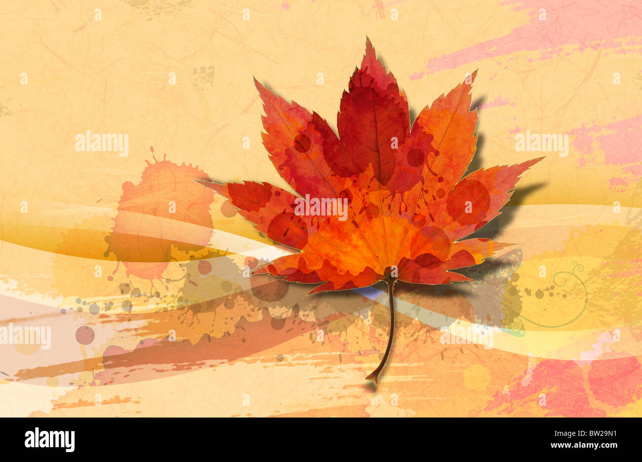 Foglie di autunno nell'illustrazione Foto Stock