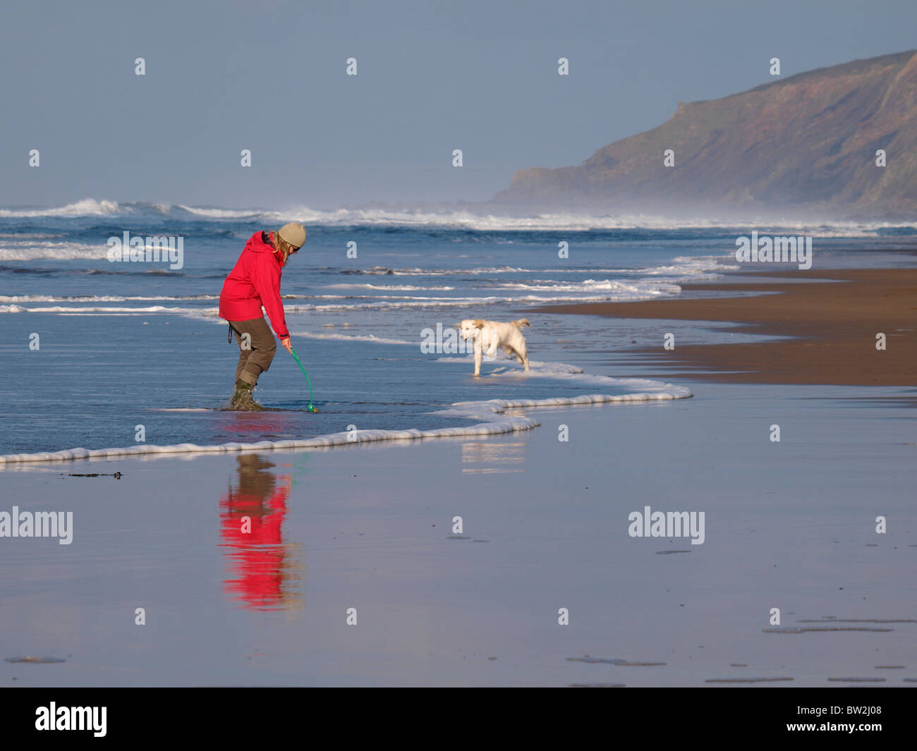 Cane di camminare sulla spiaggia in inverno, Cornwall, Regno Unito Foto Stock