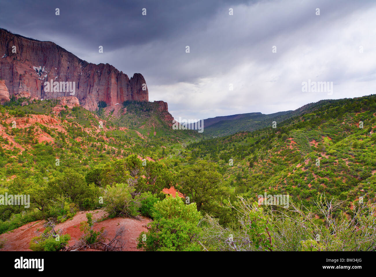 Parco Nazionale di Zion Foto Stock
