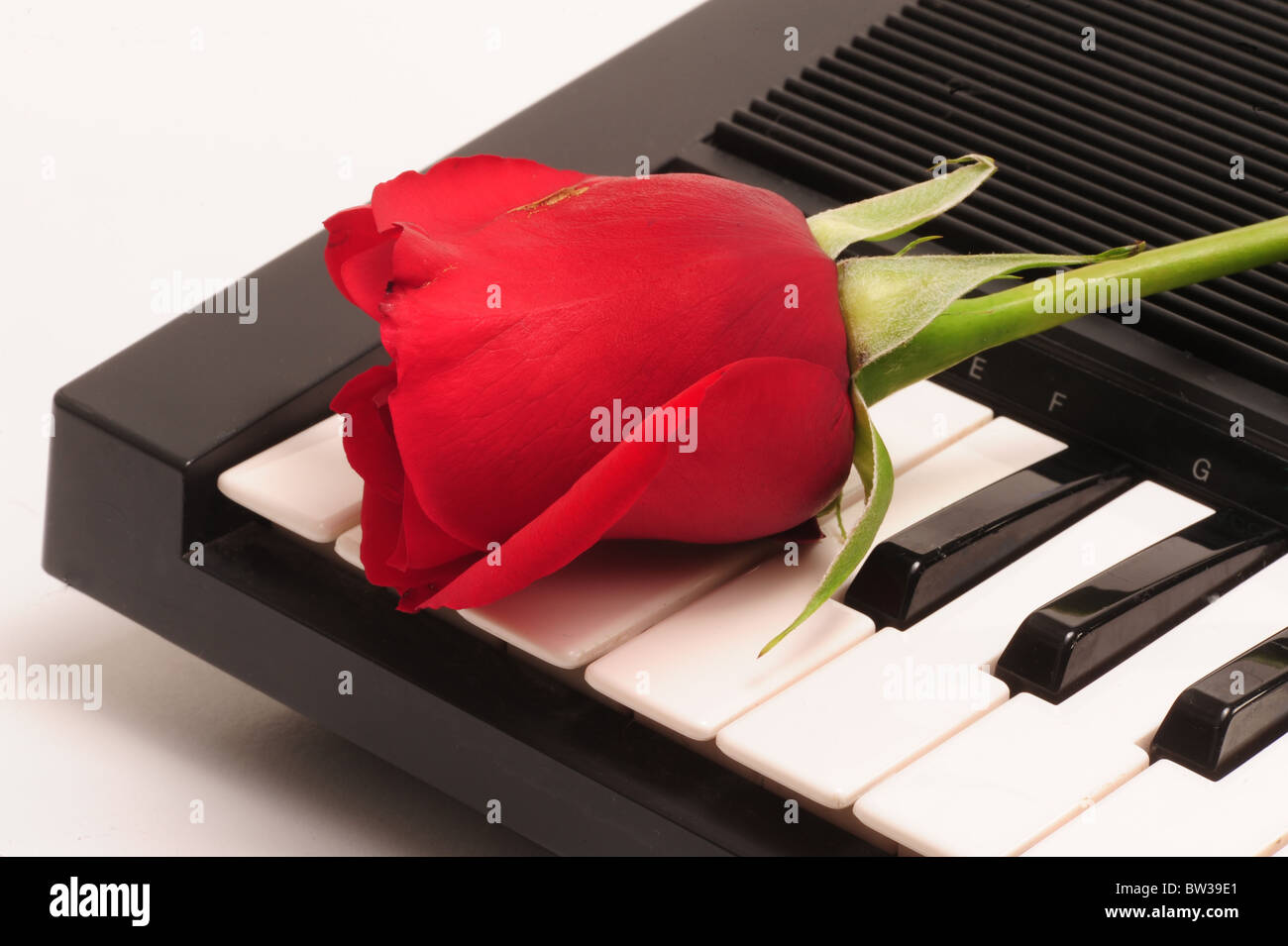 Una rosa rossa sul bordo della chiave. Foto Stock