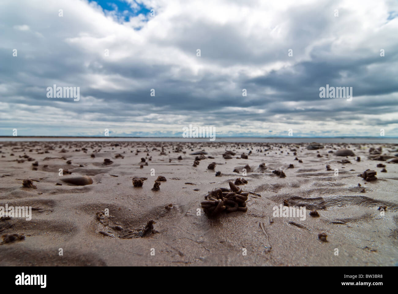 Palo di lugworm sulla spiaggia con le nuvole e il cielo Foto Stock