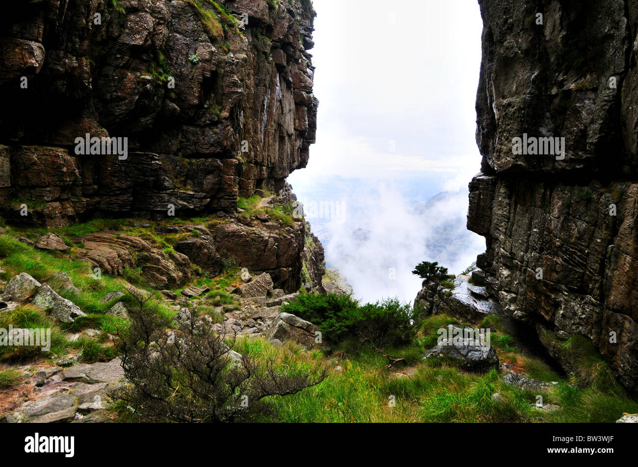 Platteklip Gorge. Table Mountain National Park, di Città del Capo, Sud Africa. Foto Stock