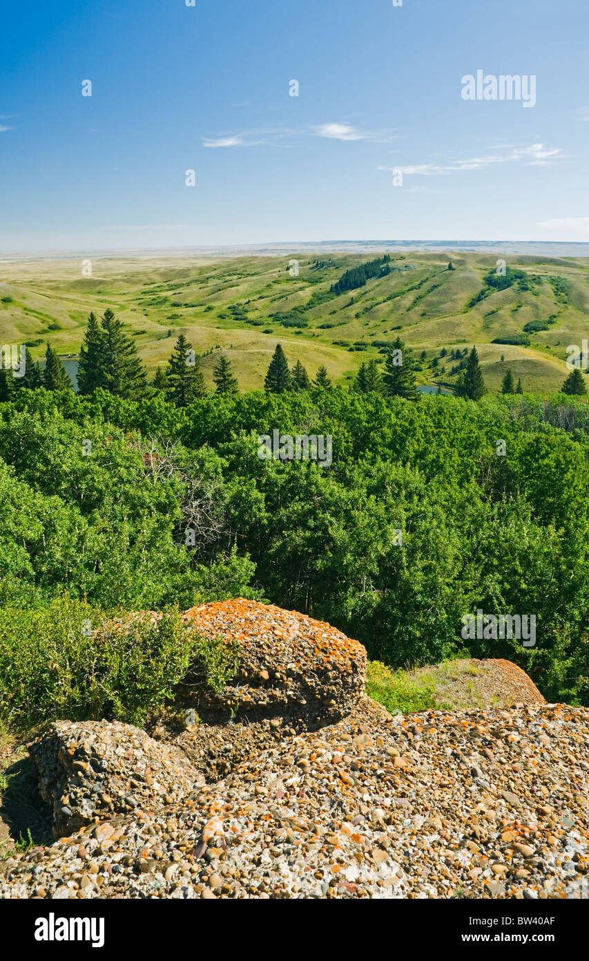 Le scogliere di conglomerato lookout, Cypress Hills parco interprovinciale, Saskatchewan, Canada Foto Stock