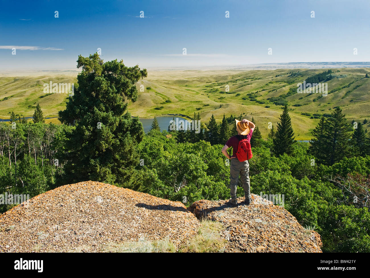 Escursionista presso il conglomerato scogliere lookout, Cypress Hills parco interprovinciale, Saskatchewan, Canada Foto Stock