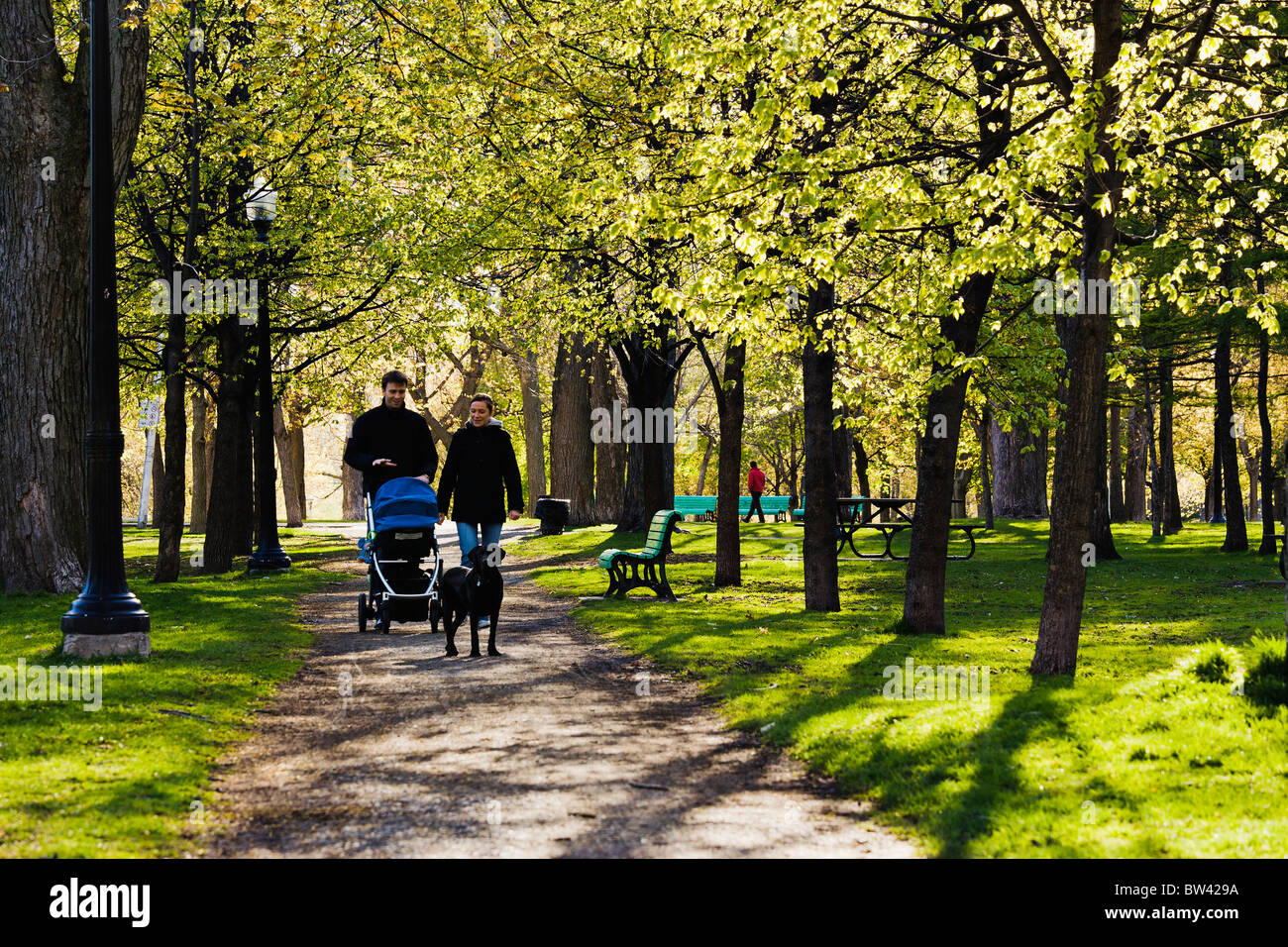 Giovane a piedi a Lafontaine Park, Montreal, Quebec Foto Stock