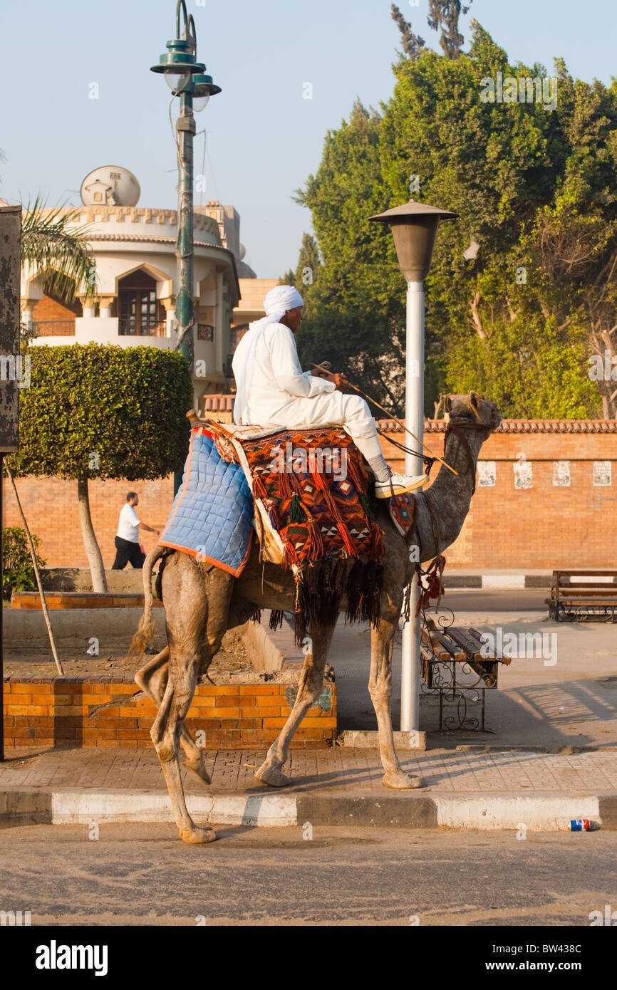 Il cammello e il suo gestore casualmente a percorrere le strade di Giza in Egitto per fare un sito di dispari. Foto Stock