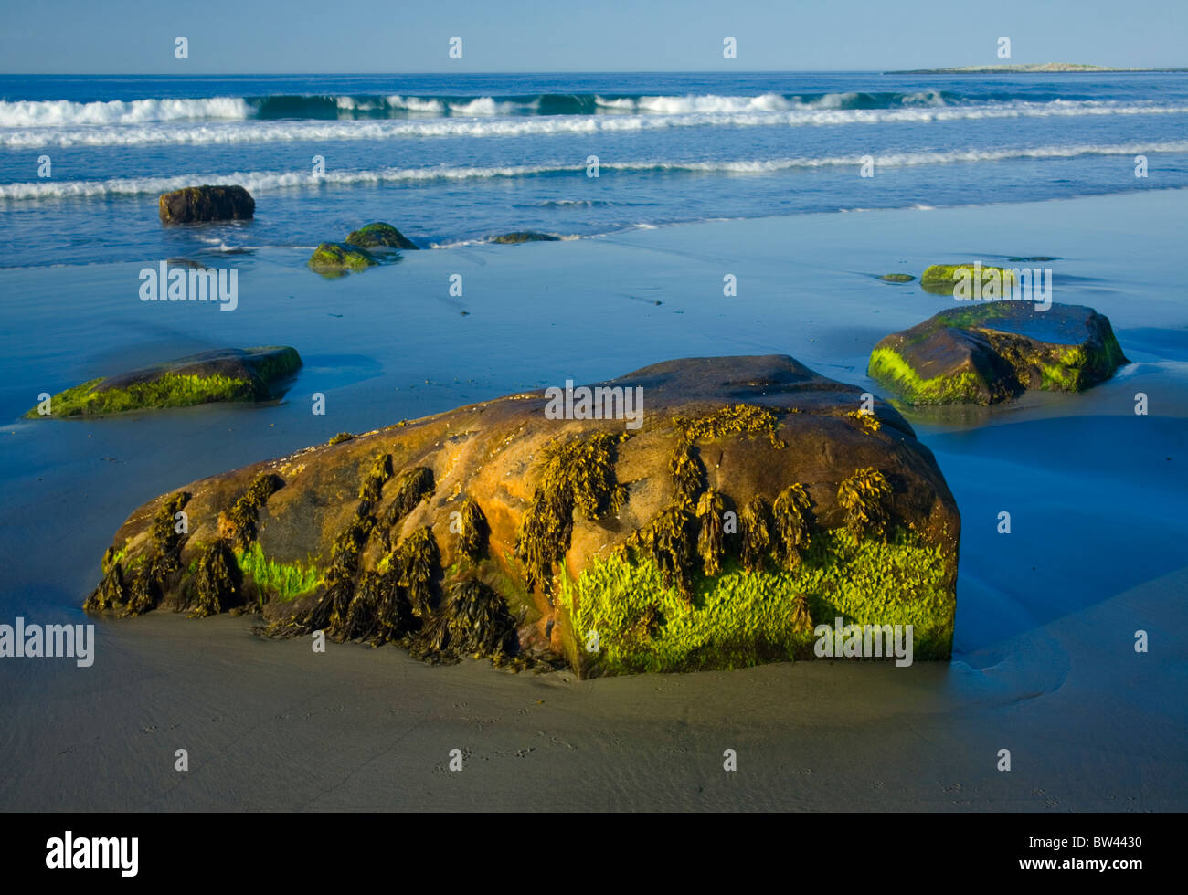 Spiaggia Vicino al Porto Faro Bickerton, riva orientale della Nova Scotia Foto Stock