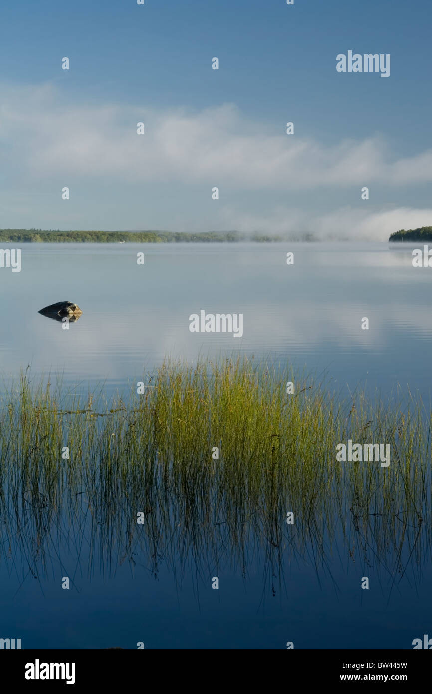 Il lago di canne e le nebbie di mattina su Shubenacadie Grand Lake, Oakfield Parco Provinciale, Nova Scotia Foto Stock