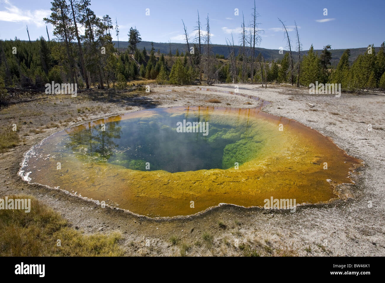 Gloria di mattina Piscina Yellowstone Foto Stock