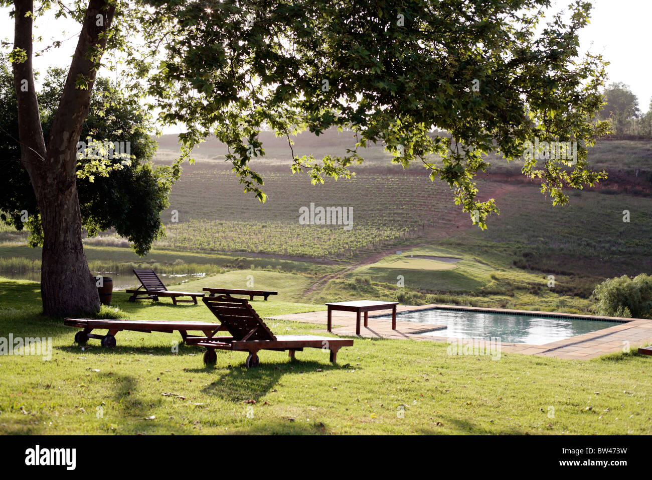 Vista sulla piscina presso i depositi alluvionali wine estate, Stellenbosch, Sud Africa. Foto Stock