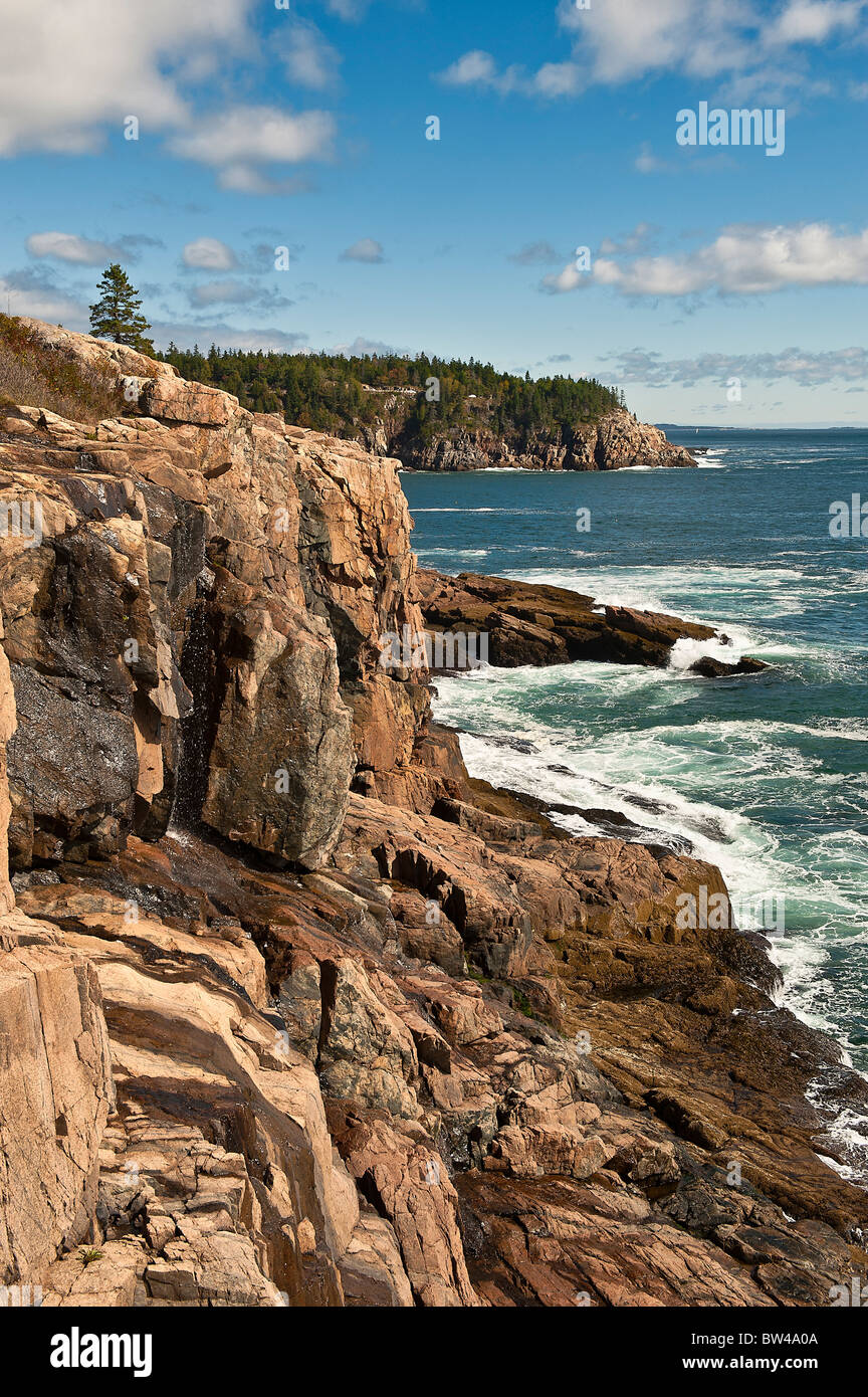 Il paesaggio costiero, Ocean Drive, Acadia NP, Maine, Stati Uniti d'America Foto Stock