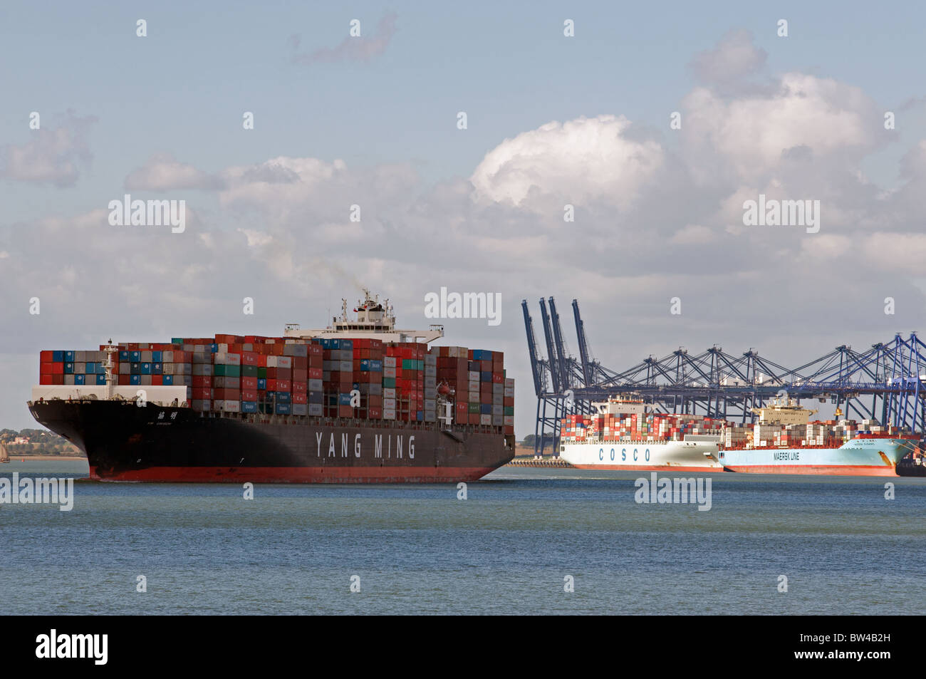 Yang Ming nave portacontainer, porto di Felixstowe, Suffolk, Regno Unito. Foto Stock