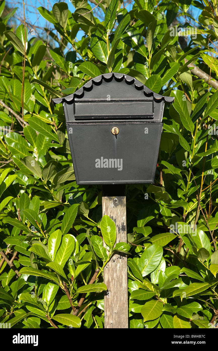 Nero casella postale con chiave e foglie verdi Foto Stock