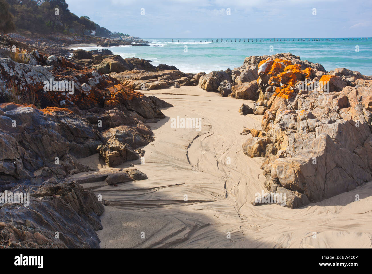 Lichene Rosso coperto le rocce su Bridport beach nel nord della Tasmania con il molo in rovina in background Foto Stock