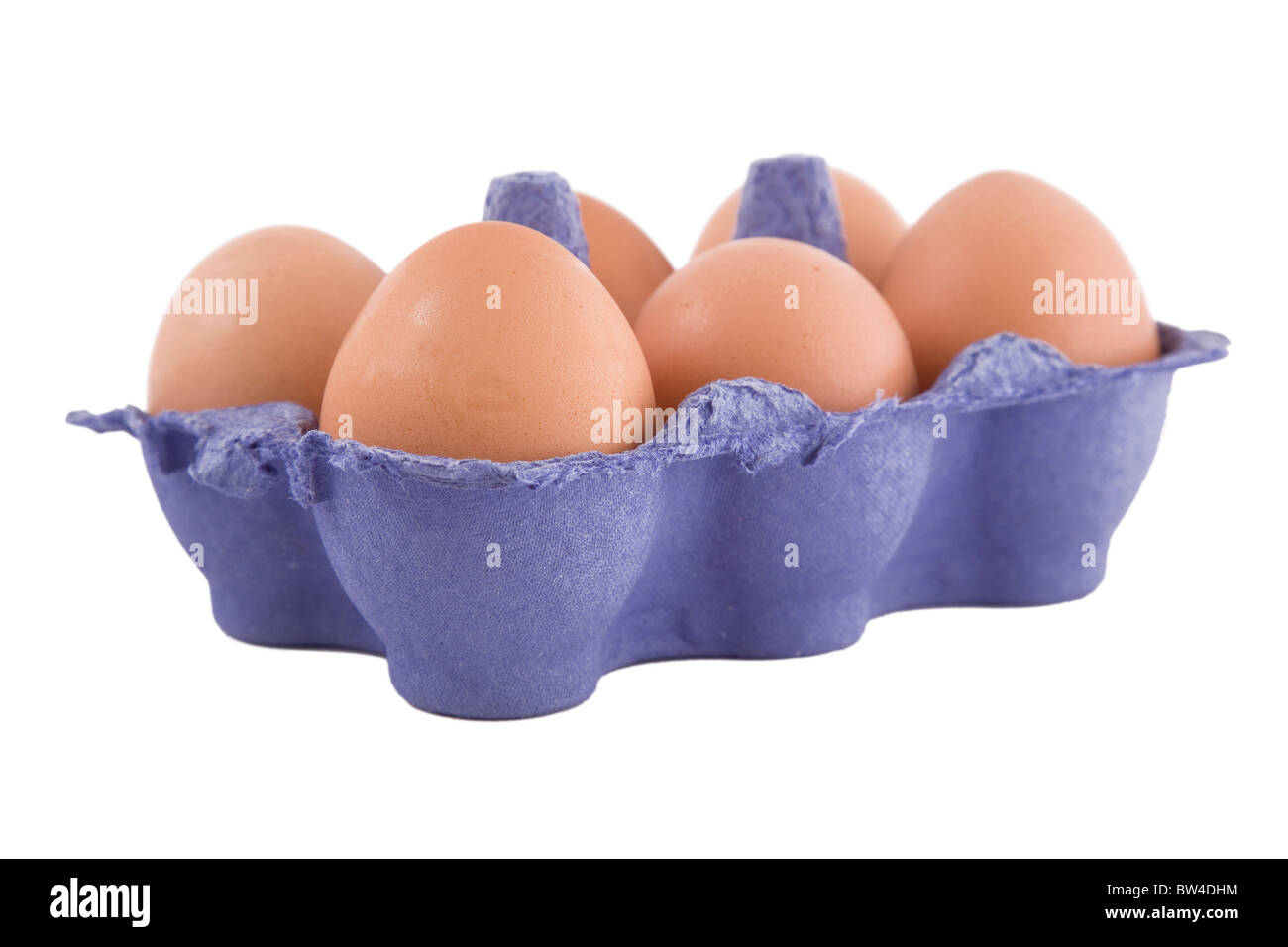 Brown uova di galline in blu confezione di uova, isolato su sfondo bianco Foto Stock