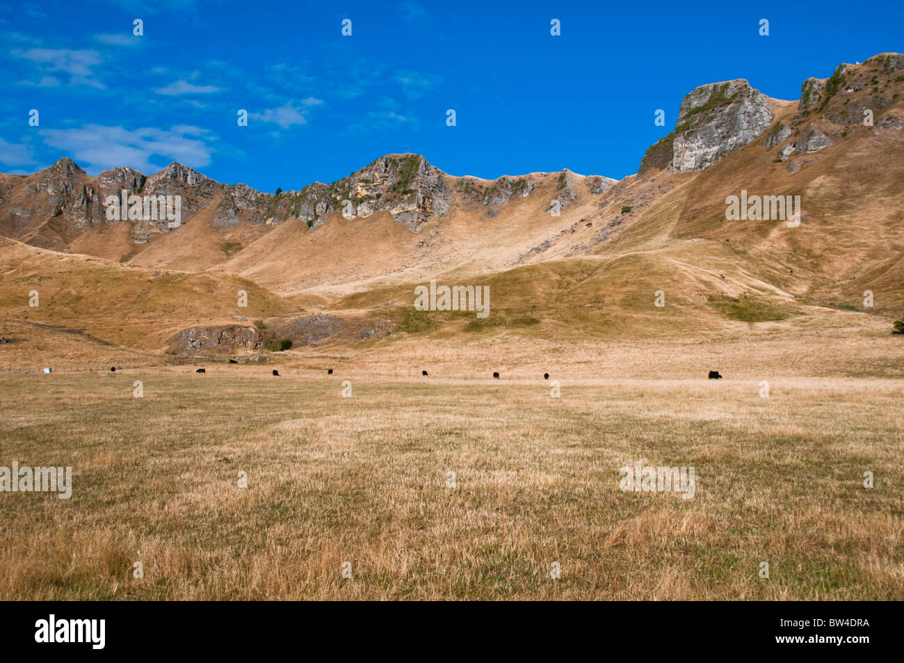 Te Mata Peek,Tukituki Valley,Fiume,Te Mata Rd,Colline di Kaokaoroa, gamme Raukawa,Hawke's Bay,Havelock North, Nuova Zelanda Foto Stock