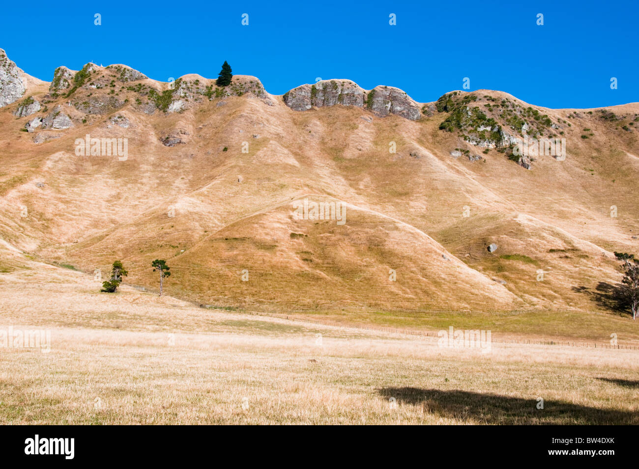 Te Mata Peek,Tukituki Valley,Fiume,Te Mata Rd,Colline di Kaokaoroa, gamme Raukawa,Hawke's Bay,Havelock North, Nuova Zelanda Foto Stock