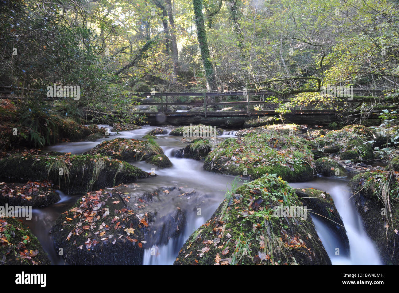 Silky acqua durante l'autunno, a Becky Falls, Dartmoor Foto Stock