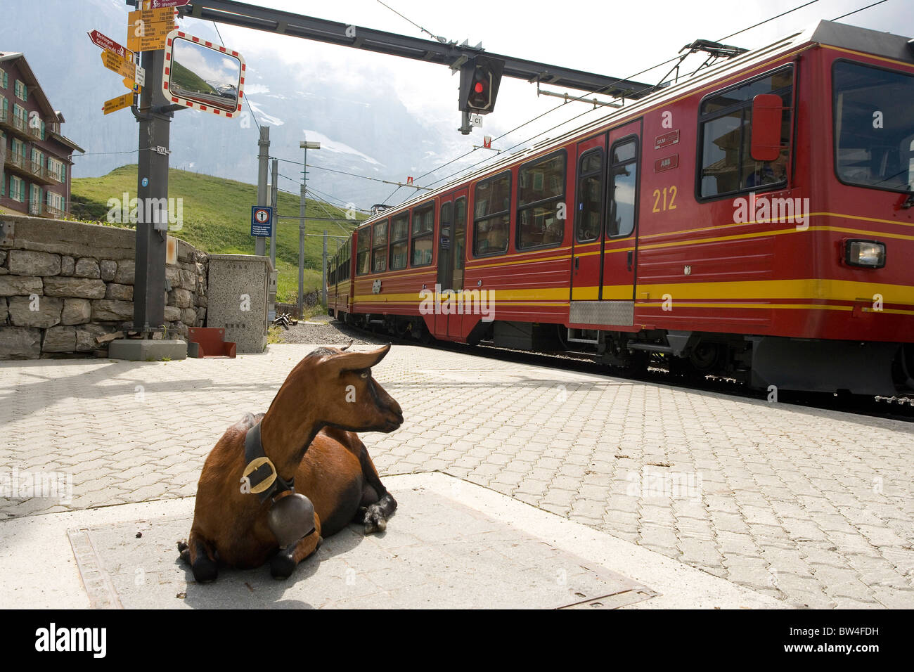 Una capra di montagna e il passaggio di un treno a Kleine Scheidegg con Jungfrau in distanza. Svizzera Foto Stock