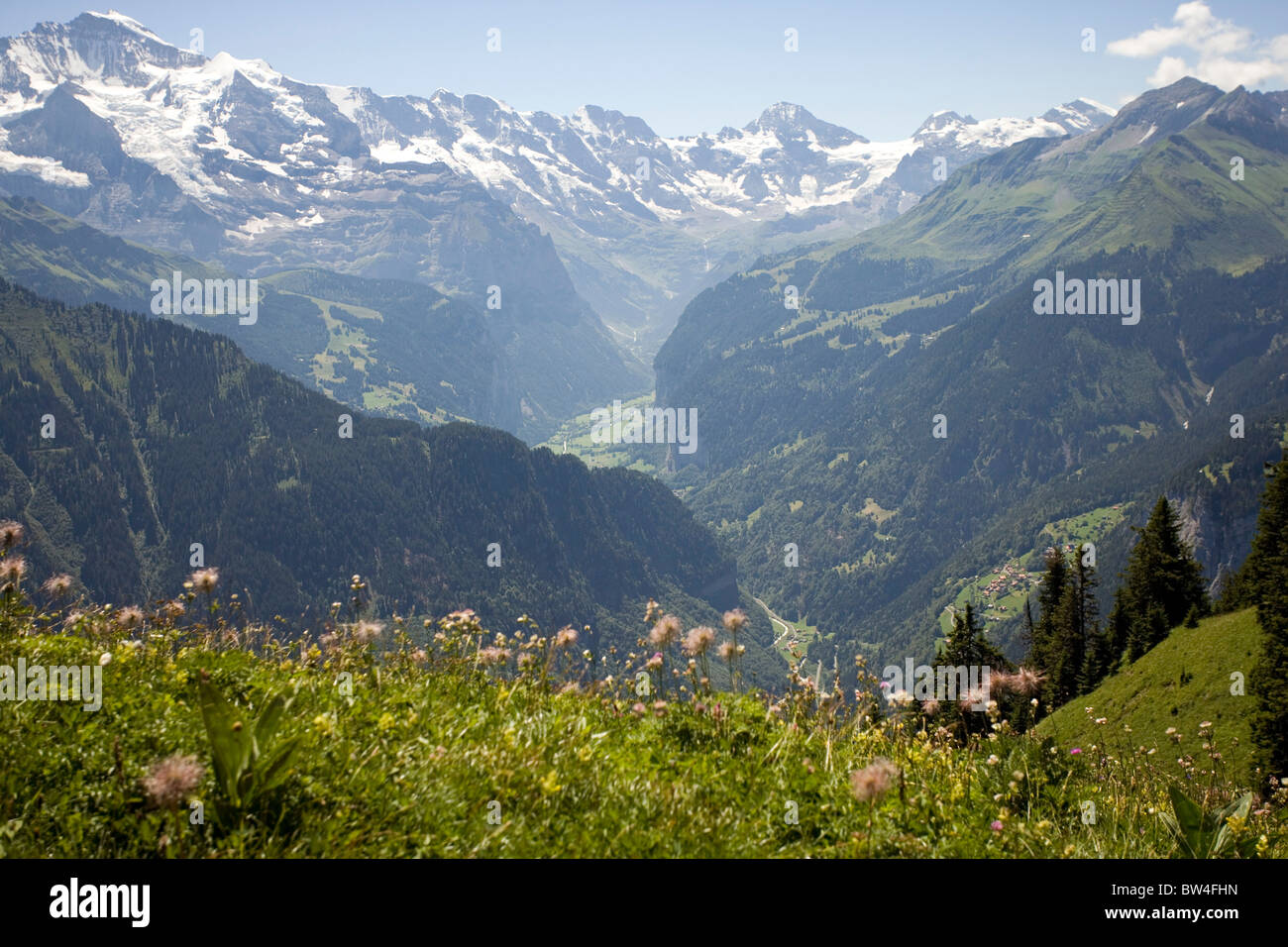 Schynige Platte, Svizzera Foto Stock