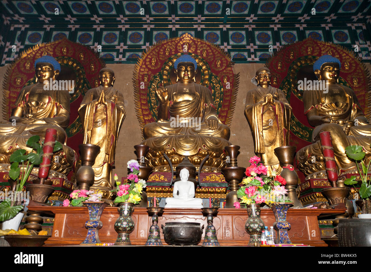 Un Buddha d'oro, il Tempio Shaolin, luogo di nascita del Kung Fu, Song Shan, vicino a Zhengzhou, nella provincia di Henan, Dengfeng, Cina Foto Stock