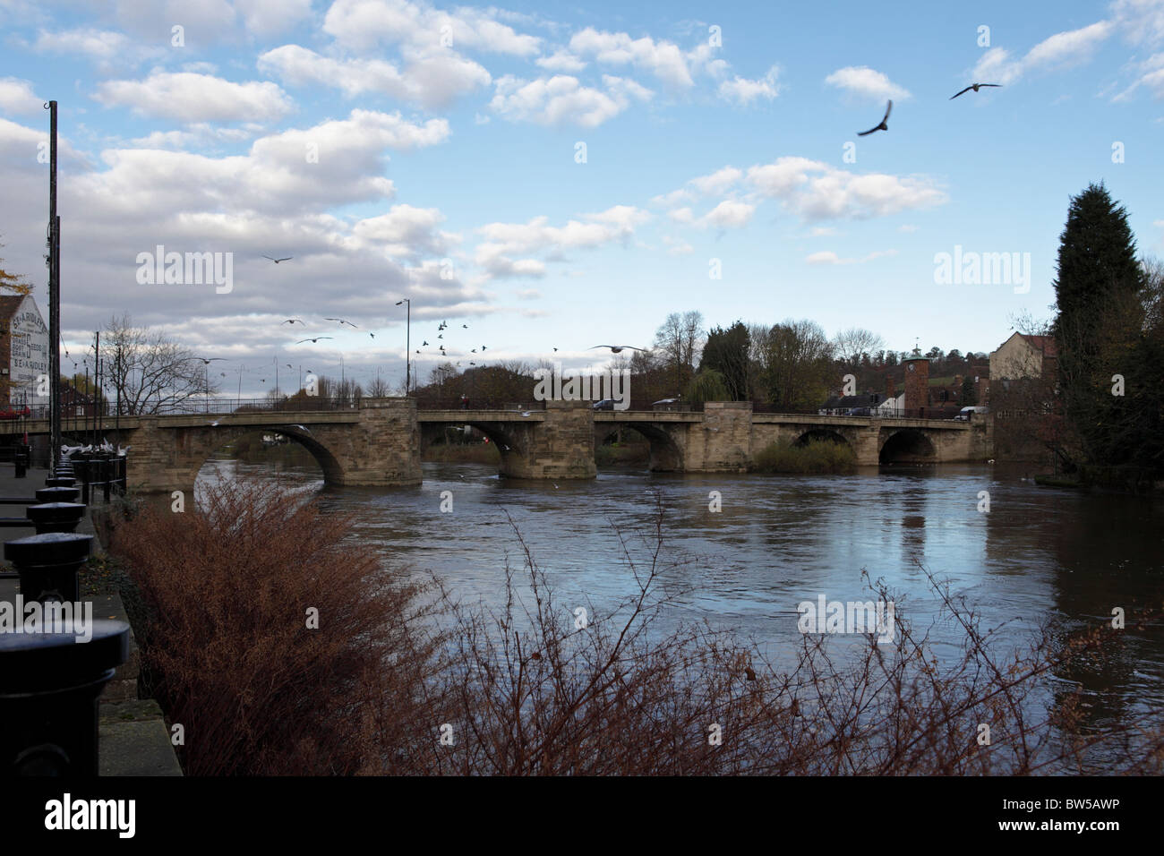 Gabbiani volano intorno al ponte in pietra a Città Bassa in Bridgnorth,IL che scorre veloce acque del fiume Severn a sud di flusso. Foto Stock