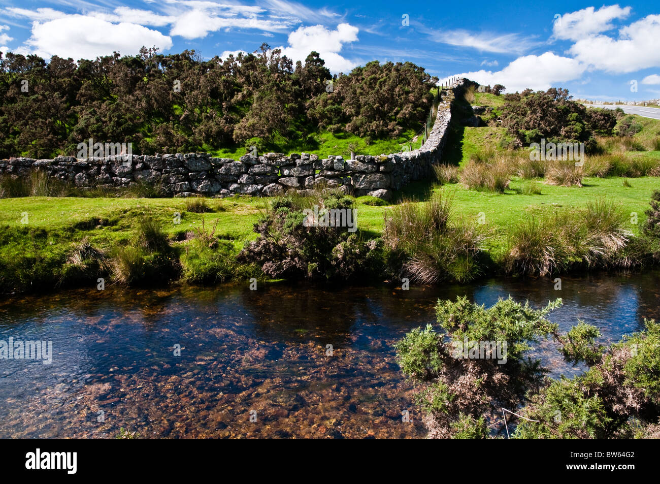 Muro di pietra accanto a un flusso, Dartmoor Foto Stock