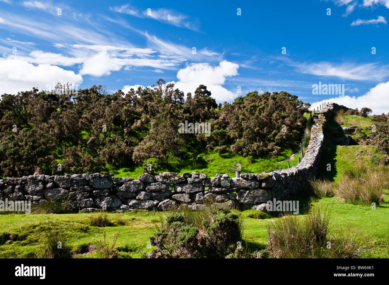 Muro di pietra accanto a un flusso, Dartmoor Foto Stock