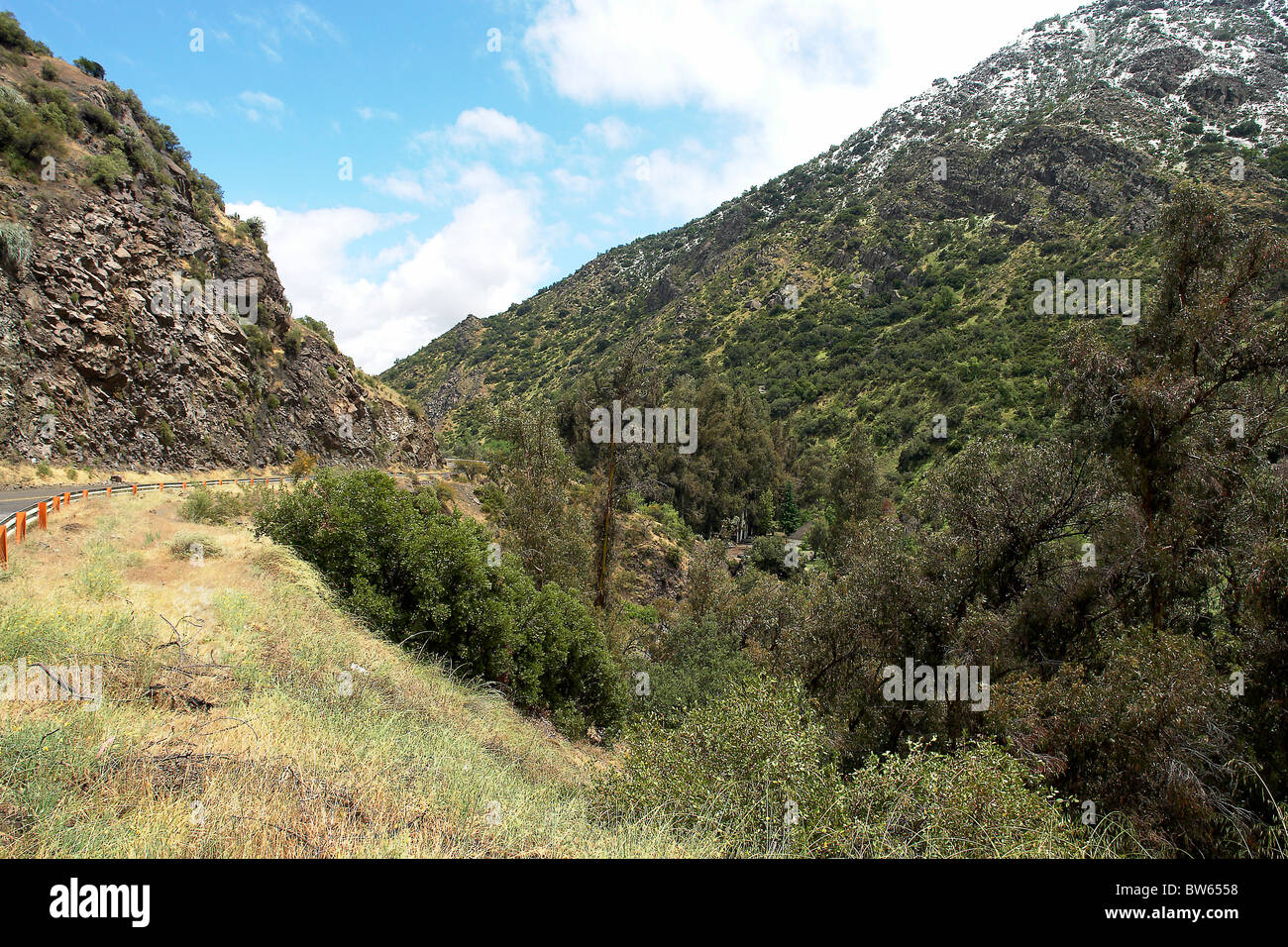 Bellissima vegetazione nella Cordigliera delle Ande, salita al winter, Santiago del Cile tourist Foto Stock