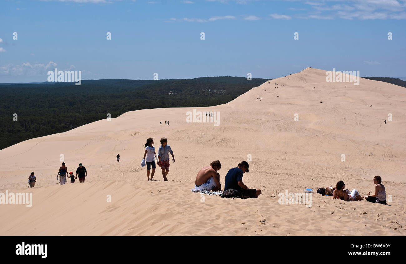 Dune du Pyla o pilat 'La Grande duna di Pilat ' nel dipartimento delle Landes, Francia Foto Stock
