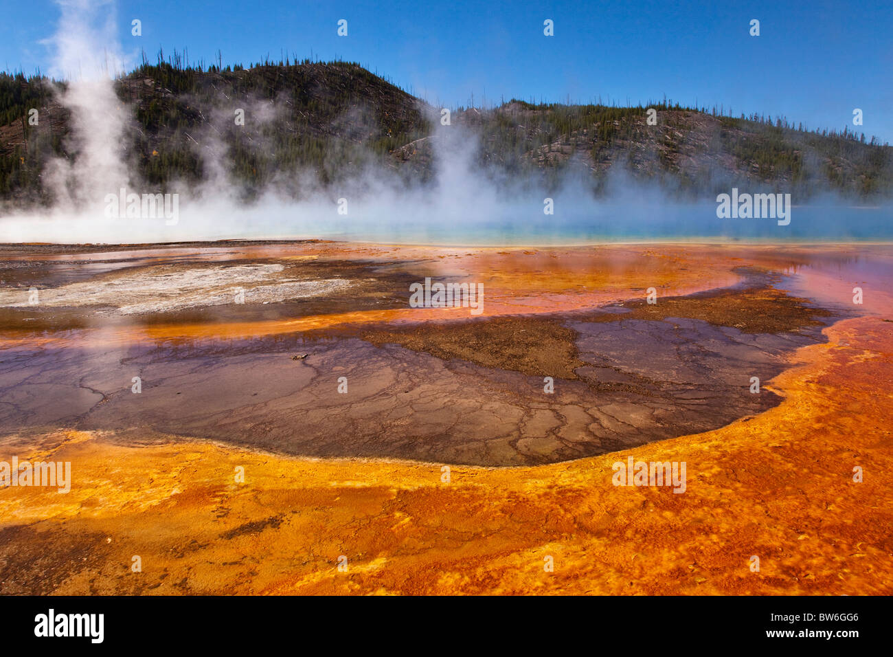 Yellowstone's favolosamente colorata e incredibile Grand Prismatic Spring Foto Stock