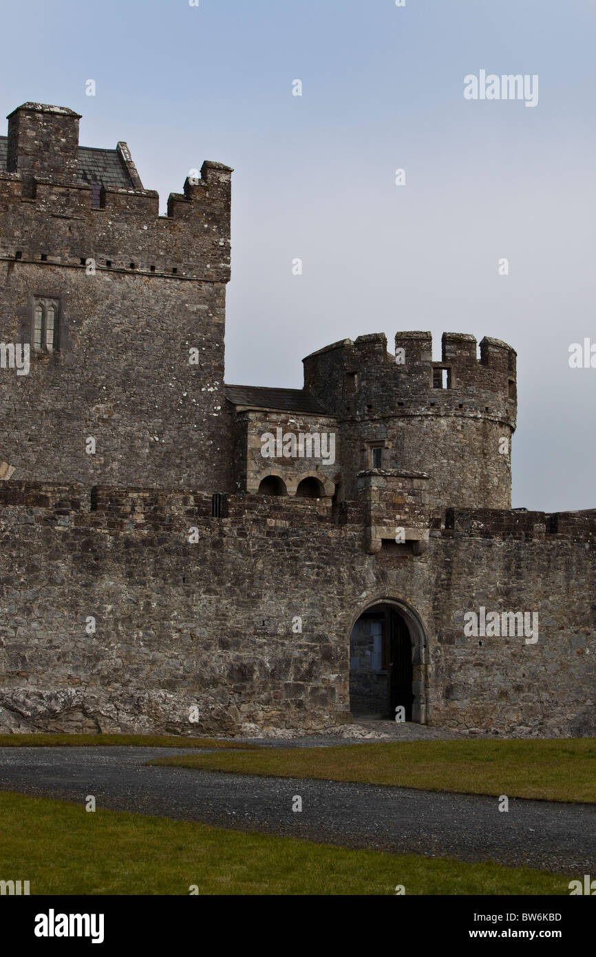 Castello di Cahir. L'Irlanda. Foto Stock