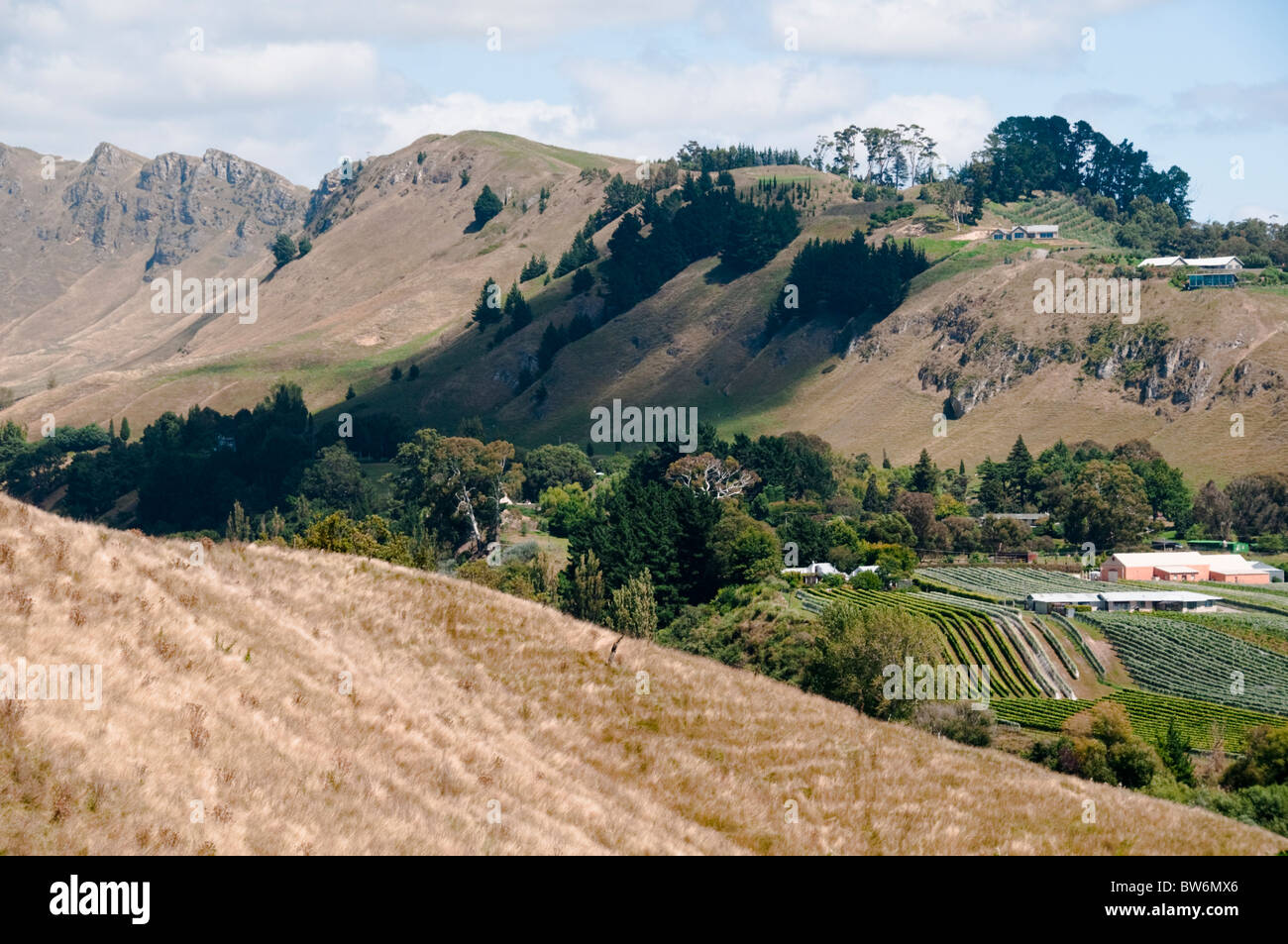 Te Mata Peek,Tukituki Valley,Fiume,Te Mata Rd,Colline di Kaokaoroa, gamme Raukawa,Hawke's Bay,Havelock North, Nuova Zelanda Foto Stock