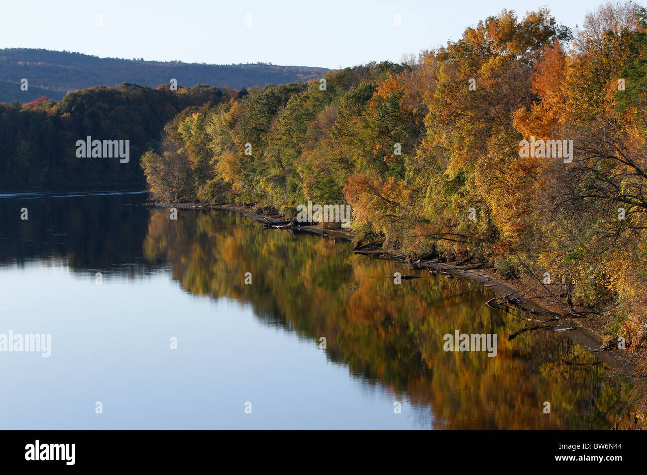 Il fogliame di autunno sul fiume Connecticut in Northfield, Massachusetts Foto Stock