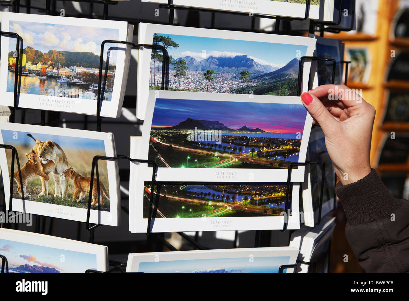 Donna che guarda cartoline al Victoria and Albert Waterfront, Città del Capo, Western Cape, Sud Africa (MR) Foto Stock