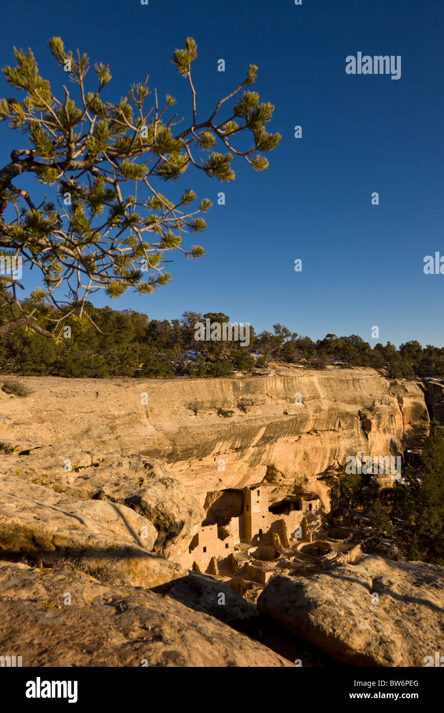 Cliff Palace insediamenti rupestri durante l'inverno nel Parco Nazionale di Mesa Verde, Colorado, Stati Uniti d'America. Foto Stock