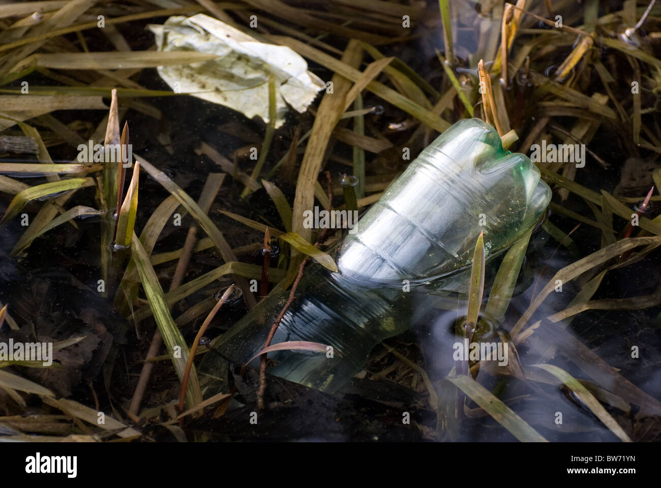 La bottiglia di plastica garbage in acqua Foto Stock