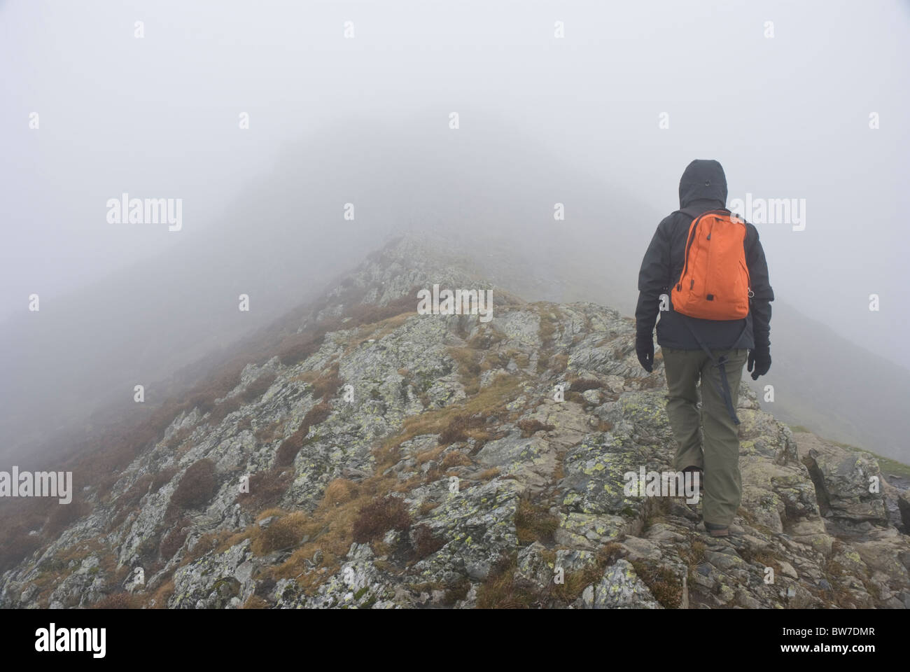 Walker sale sul crinale cadde su Blencathra/a doppio spiovente nella nebbia, Lake District, Cumbria Foto Stock