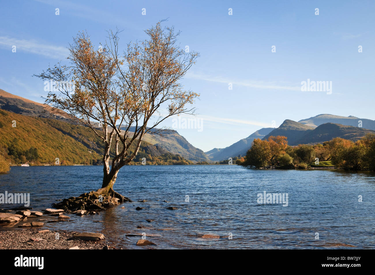 Vista lungo Llyn Padarn Lake a Mount Snowdon nel Parco Nazionale di Snowdonia. Padarn Country Park Llanberis Gwynedd North Wales UK Foto Stock