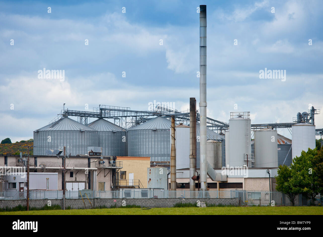 La Dairygold Agri latte e formaggi nello stabilimento di trasformazione di opere in corrispondenza di Mogeely, County Cork, Irlanda Foto Stock