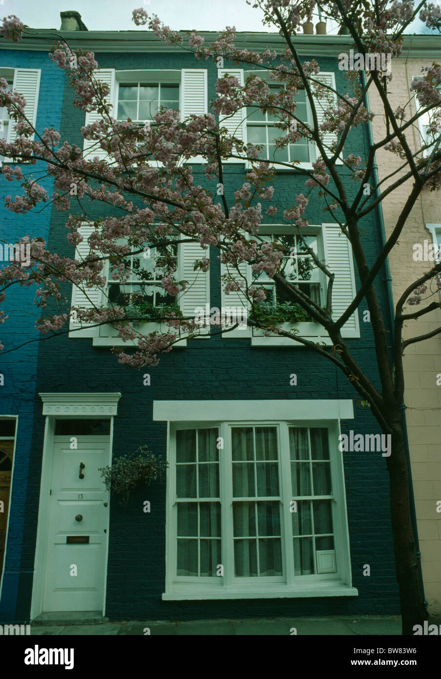 Altezza albero esterno blu scuro townhouse terrazzati bianco con persiane in legno e lo sportello anteriore Foto Stock
