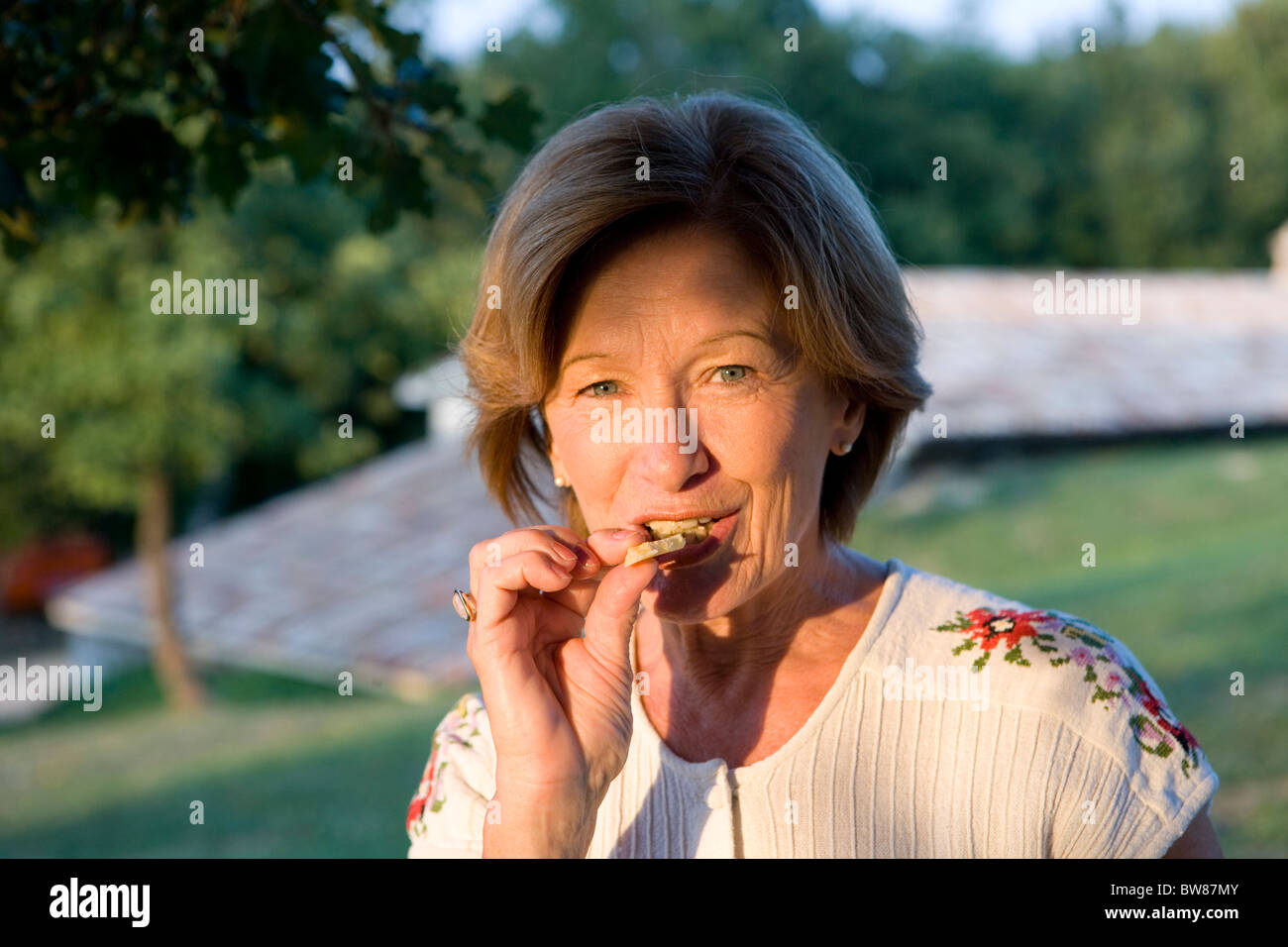 Picnic in Croazia Foto Stock