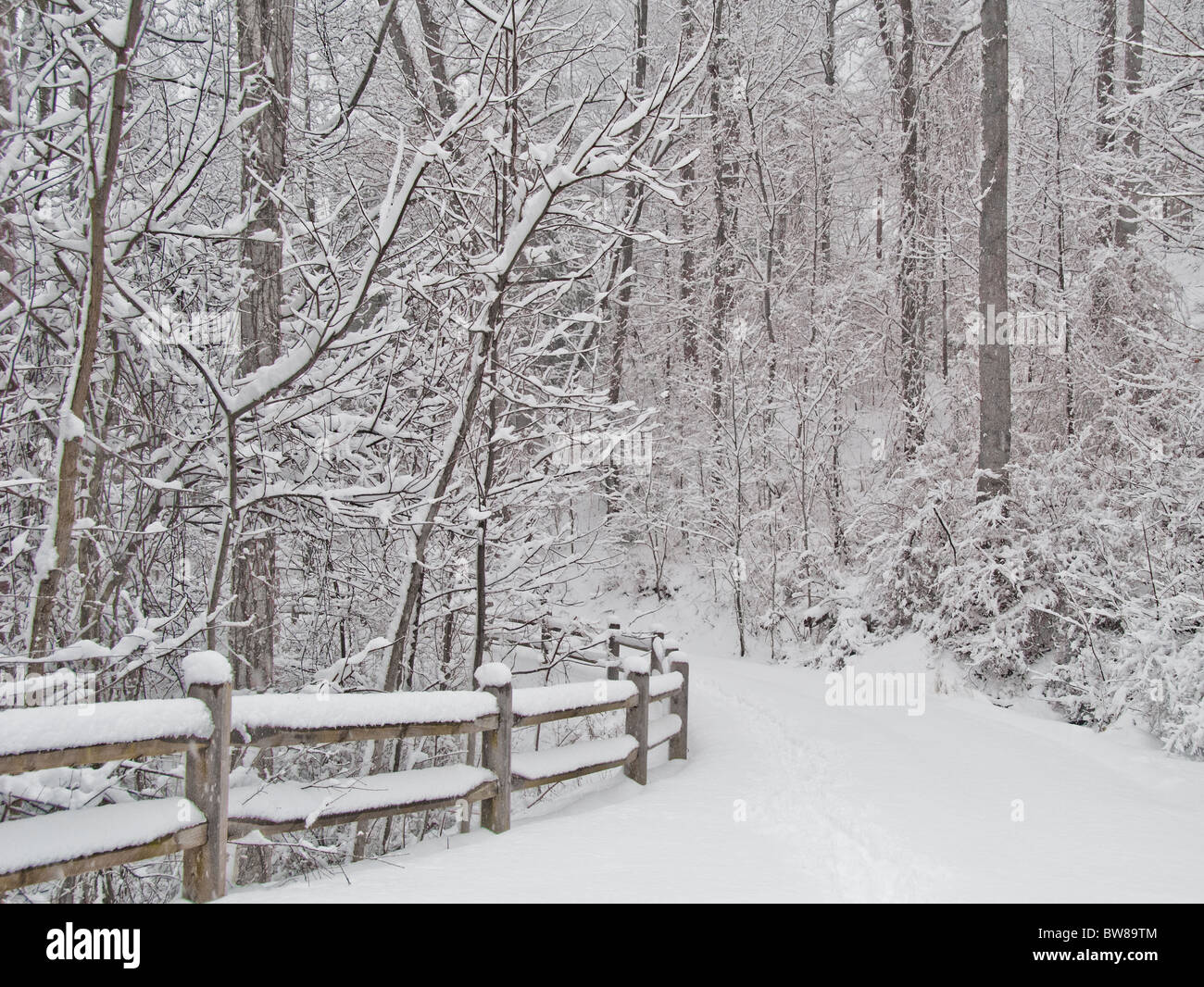 Vicolo del paese nella neve, Asheville, North Carolina, STATI UNITI D'AMERICA Foto Stock