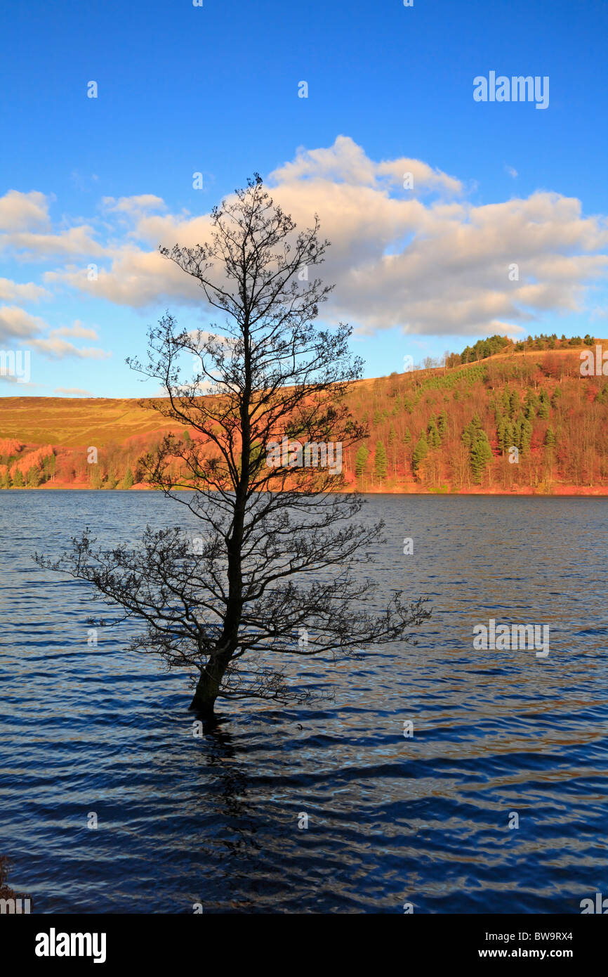 Serbatoio Derwent, Superiore Derwent Valley, Parco Nazionale di Peak District, Derbyshire, Inghilterra, Regno Unito. Foto Stock