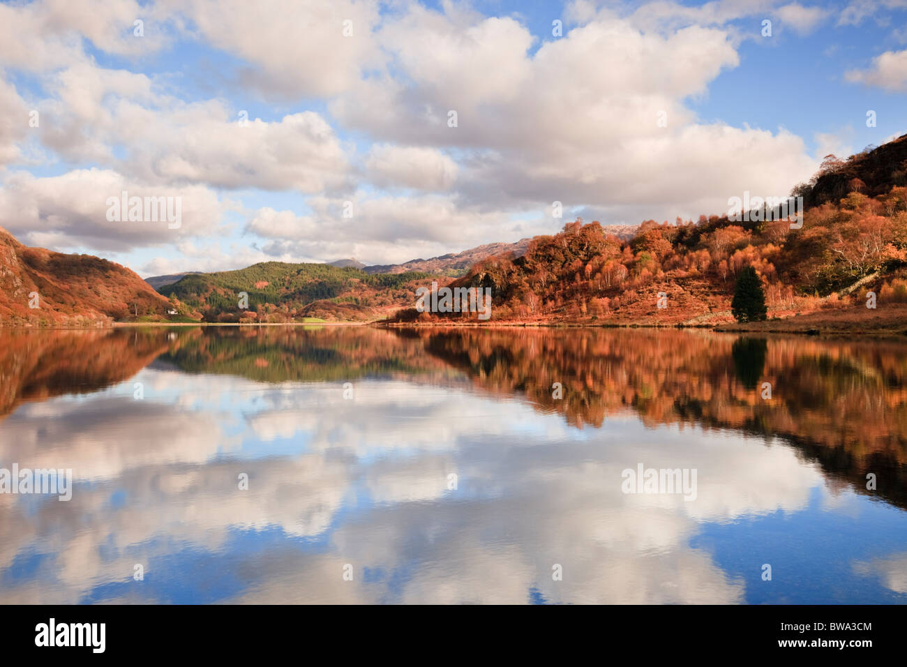 Beddgelert Gwynedd North Wales UK Cloud riflessioni di Llyn Dinas lago nella valle Nantgwynant in Snowdonia in autunno Foto Stock