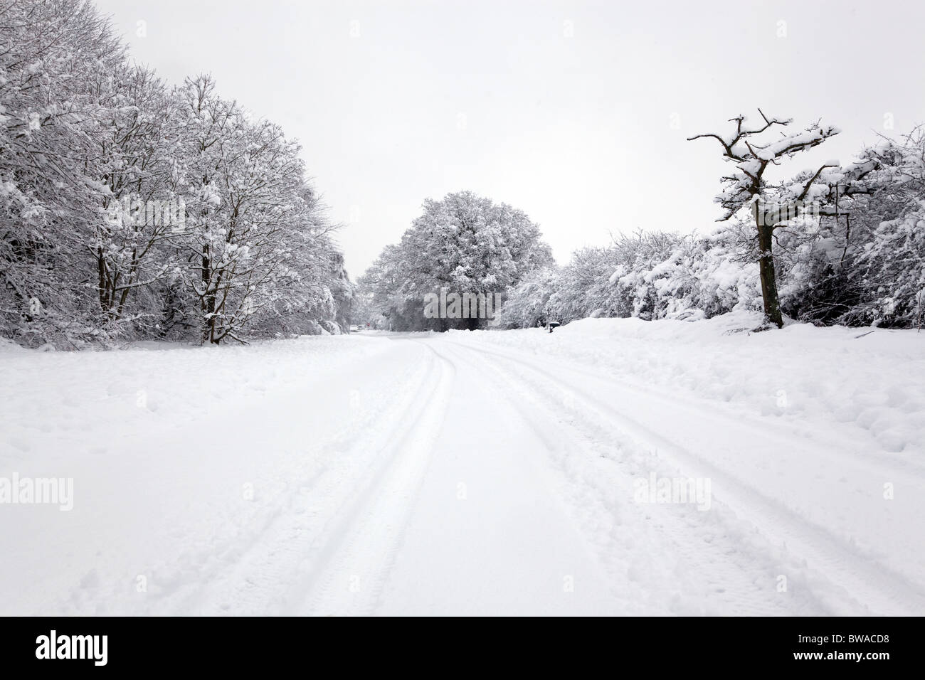 Tracce di pneumatici nella neve su una strada rurale in Inghilterra Foto Stock