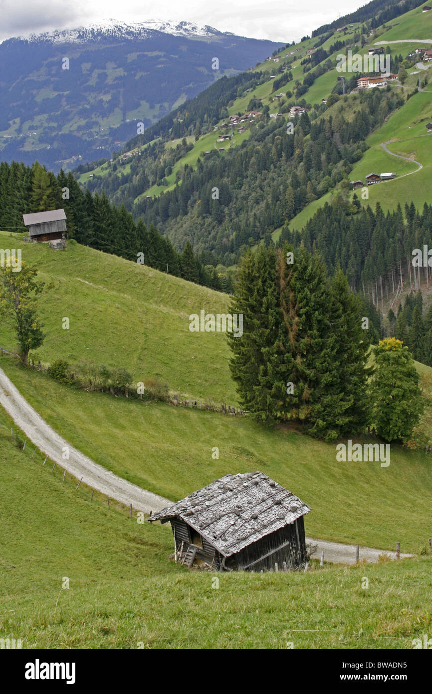 Austria Tirol alto adige montagna alta strada paesaggio pastorale ripido pascolo Foto Stock