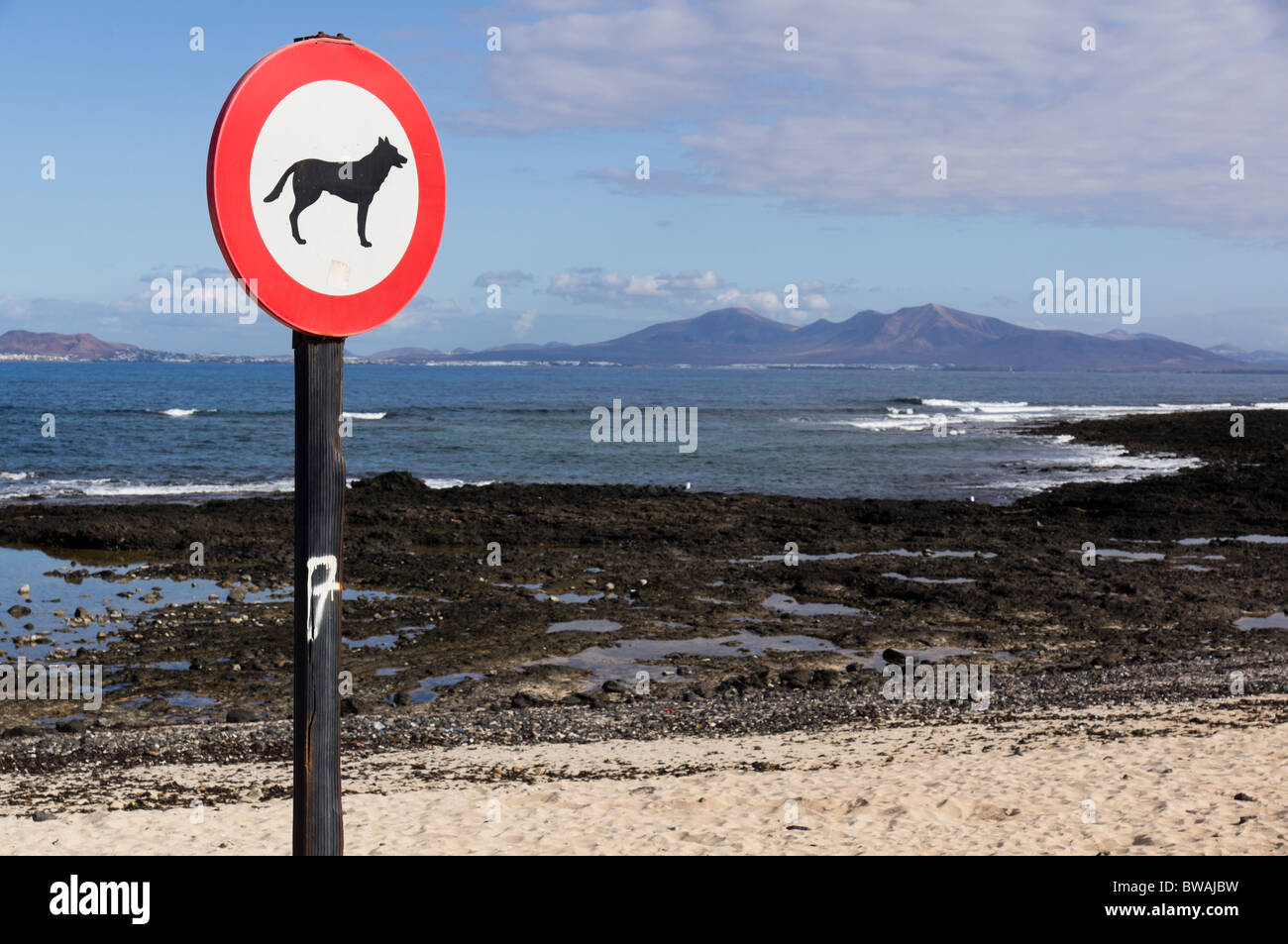 Fuerteventura Isole Canarie - Corralejo, segno dicendo no cani sulla spiaggia. Foto Stock